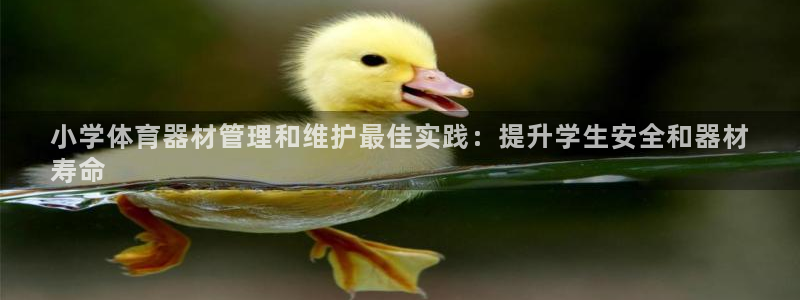 耀世集团小说:小学体育器材管理和维护最佳实践:提升学生安全和