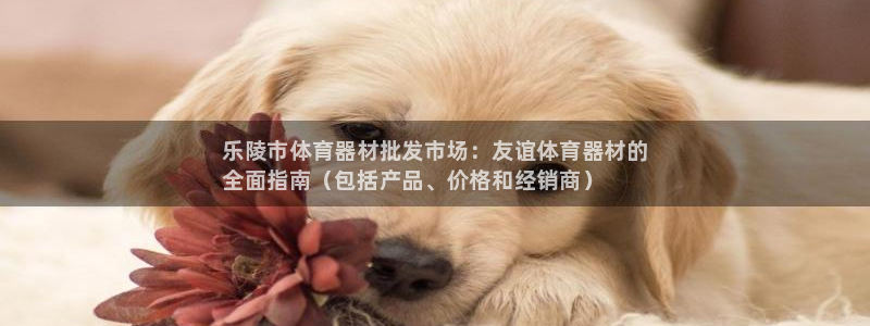 耀世平台注册最新地址:乐陵市体育器材批发市场:友谊体育器材的