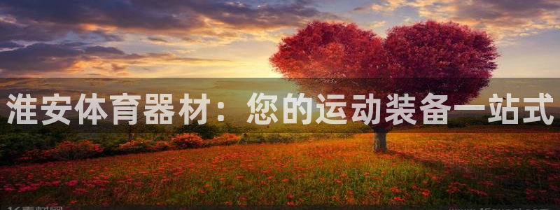 耀世游戏:淮安体育器材:您的运动装备一站式